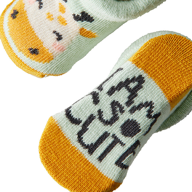 Um conjunto completo para bebés recém-nascidos, com itens suaves e seguros que tornam cada momento especial. Incluí Meias de algodão, um gorro macio, uma babete e uma nana/mantinha para dormir.